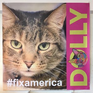 Dolly for President, Fix America